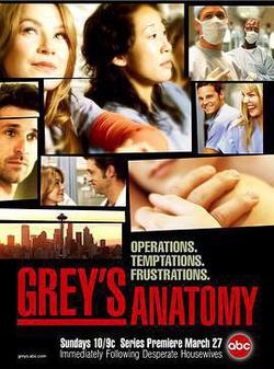 實習醫生格蕾 第一季(Grey's Anatomy Season 1)