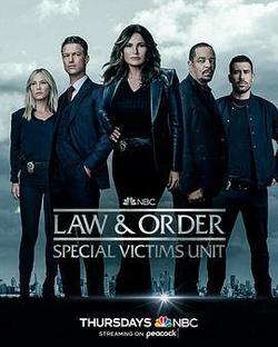 法律與秩序：特殊受害者 第二十四季(Law & Order: Special Victims Unit Season 24)
