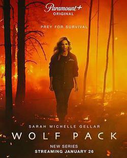 狼羣(Wolf Pack)