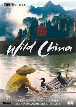 美麗中國(Wild China)