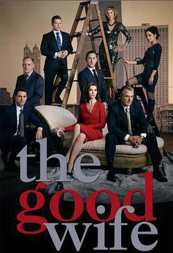 傲骨賢妻 第六季(The Good Wife Season 6)