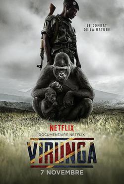 維龍加(Virunga)