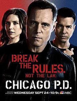 芝加哥警署 第二季(Chicago P.D. Season 2)