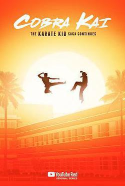 眼鏡蛇 第一季(Cobra Kai Season 1)