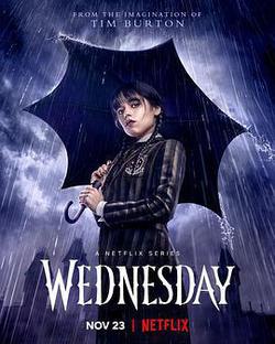 星期三 第一季(Wednesday Season 1)