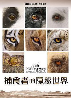 捕食者的隱祕世界(Apex Predators: Invisible Worlds)
