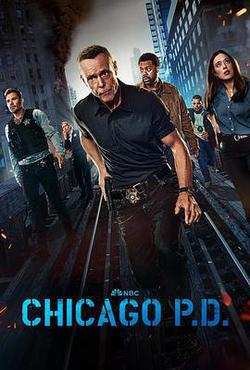 芝加哥警署 第十二季(Chicago P.D. Season 12)