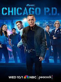 芝加哥警署 第十三季(Chicago P.D. Season 13)
