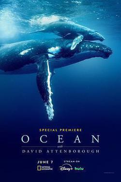 大衛·愛登堡：海洋(Ocean with David Attenborough)