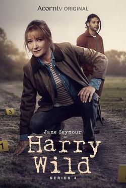 野探哈莉 第四季(Harry Wild Season 4)