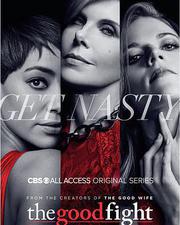 傲骨之戰 第一季