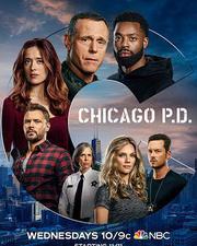 芝加哥警署 第八季